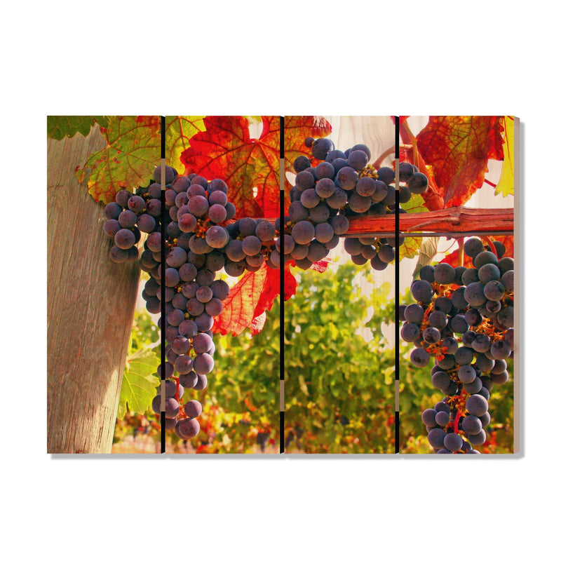 Old Vines - Photography on Wood DaydreamHQ Photography on Wood 22x16