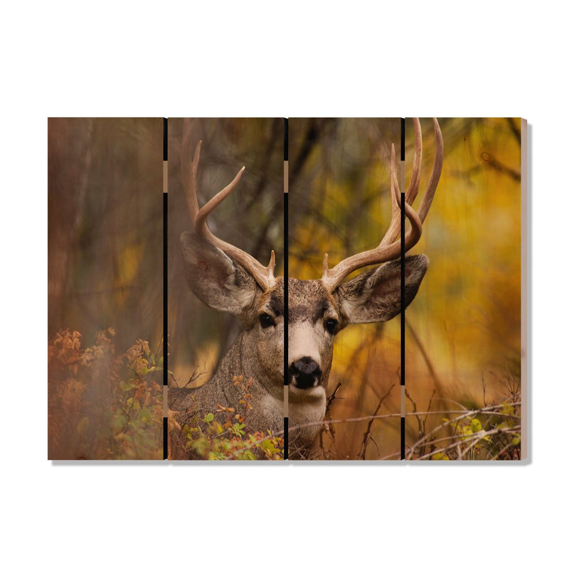 Perfect Look - Photography on Wood DaydreamHQ Photography on Wood 22x16