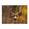 Perfect Look - Photography on Wood DaydreamHQ Photography on Wood 33x24