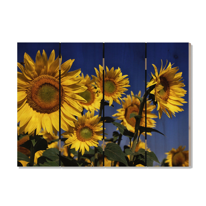 Sunny Bunch - Photography on Wood DaydreamHQ Photography on Wood 22x16