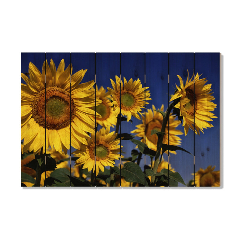 Sunny Bunch - Photography on Wood DaydreamHQ Photography on Wood 44x30