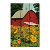 Sunflower Barn - Photography on Wood DaydreamHQ Photography on Wood 16x24