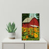 Sunflower Barn - Photography on Wood DaydreamHQ Photography on Wood