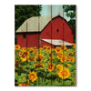 Sunflower Barn - Photography on Wood DaydreamHQ Photography on Wood 28x36