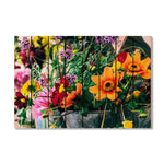 Spring Fever - Photography on Wood DaydreamHQ Photography on Wood 44x30