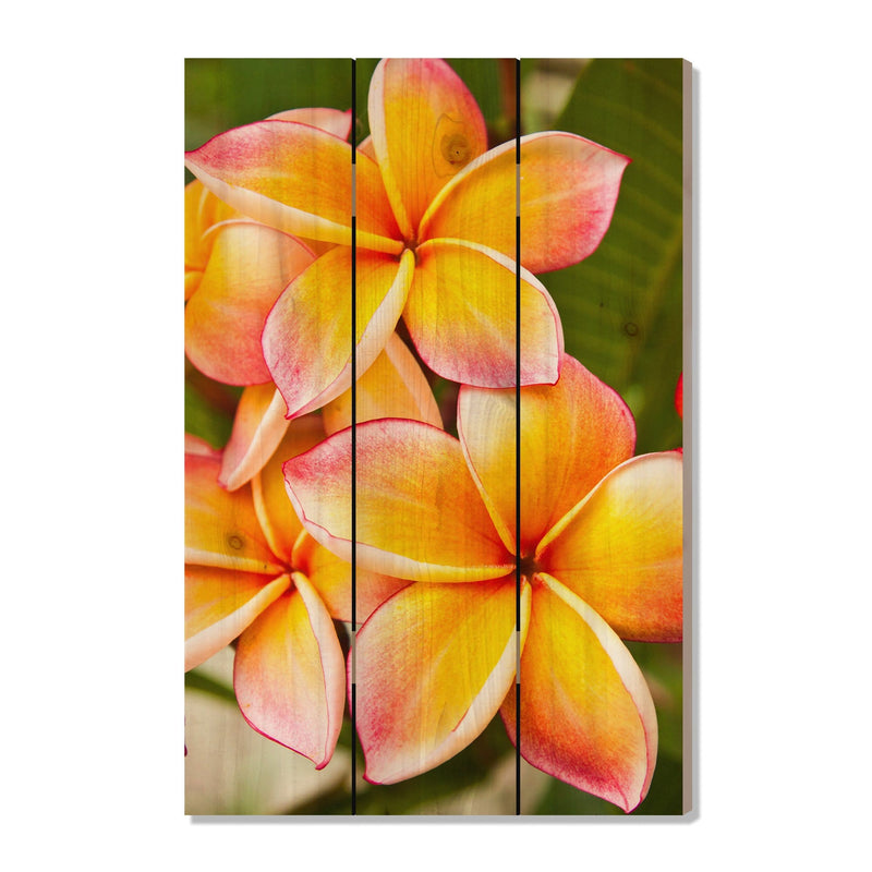 Tropic Paradise - Photography on Wood DaydreamHQ Photography on Wood 16x24