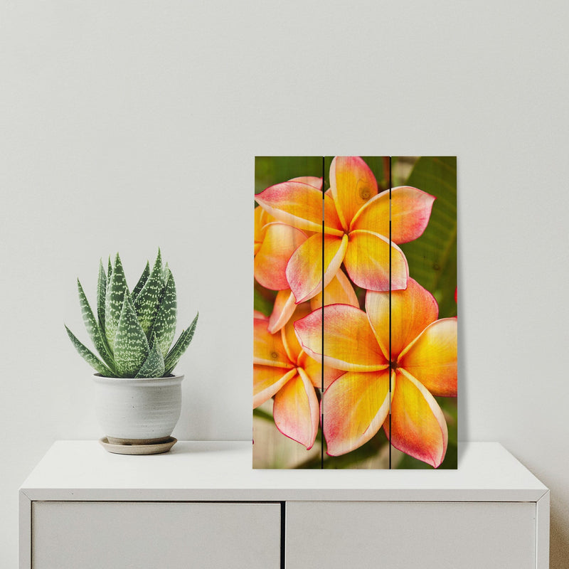 Tropic Paradise - Photography on Wood DaydreamHQ Photography on Wood