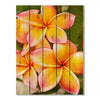 Tropic Paradise - Photography on Wood DaydreamHQ Photography on Wood 28x36