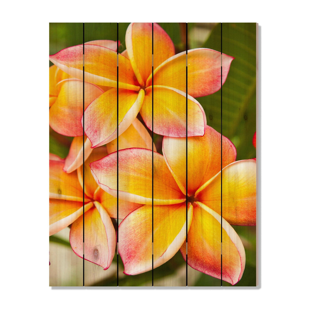 Tropic Paradise - Photography on Wood DaydreamHQ Photography on Wood 32x42
