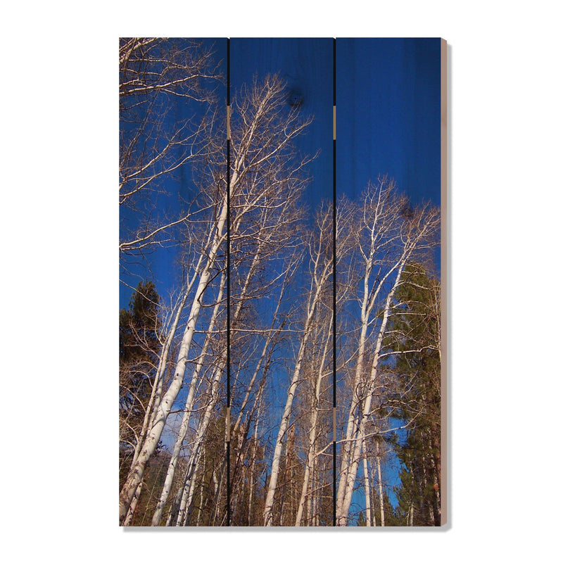 Winter Aspens - Photography on Wood DaydreamHQ Photography on Wood 16x24