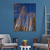 Winter Aspens - Photography on Wood DaydreamHQ Photography on Wood 32x42