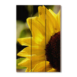 Yellow Sunflower - Photography on Wood DaydreamHQ Photography on Wood 16x24